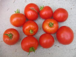 chudo rynka tomato