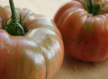 pruden's purple tomato